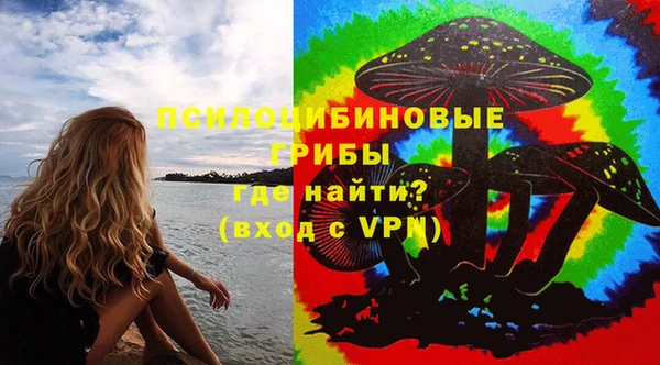 хмурый Алексеевка