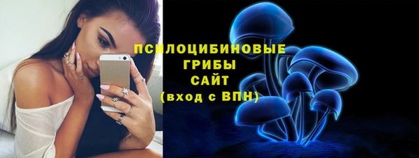 хмурый Алексеевка