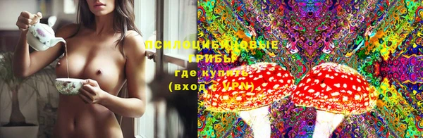 хмурый Алексеевка