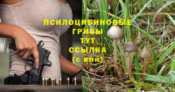 каннабис Алзамай