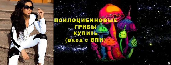 хмурый Алексеевка